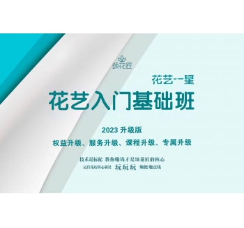 花藝入門基礎班&花藝一星